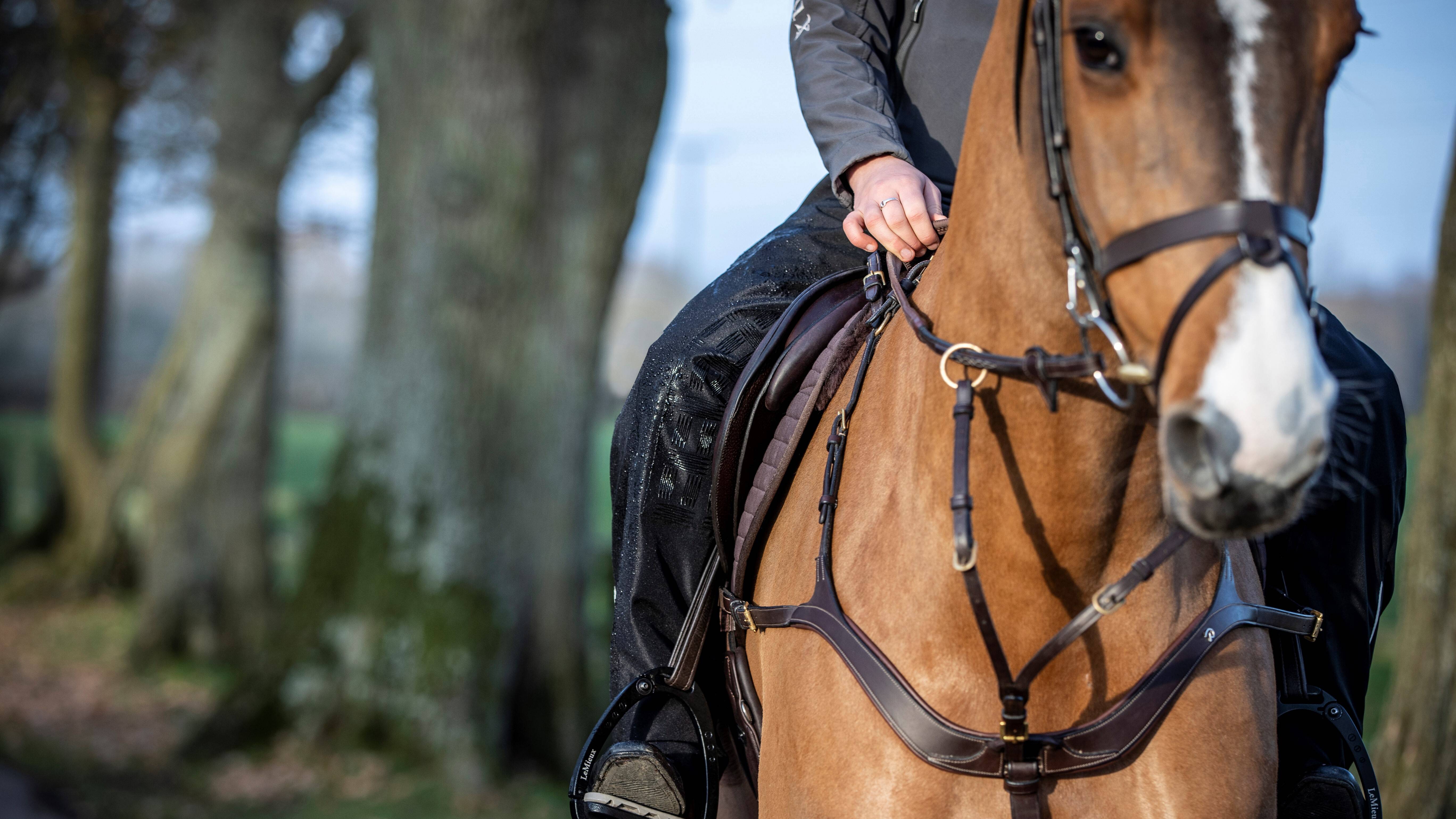 LeMieux Drytex Stormwear Fleece Lined Waterproof Chaps-Full Chaps & Waterproof Trousers-Eland Lodge
