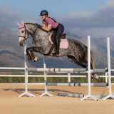 LeMieux Essence Close Contact Saddle Pad - Spring 2026-Numnahs & Saddle Pads-Eland Lodge
