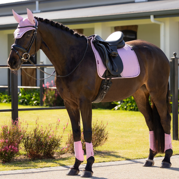 Horse wearing pink ear bonnet and leg wraps standing on a grassy area.