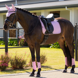 Horse wearing pink ear bonnet and leg wraps standing on a grassy area.