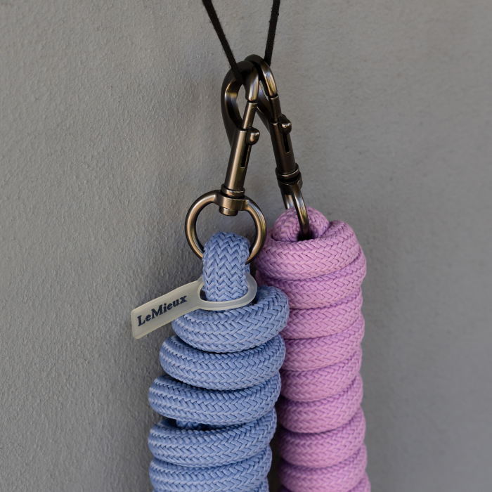 Blue and pink braided horse leadropes with brass hooks on a grey background