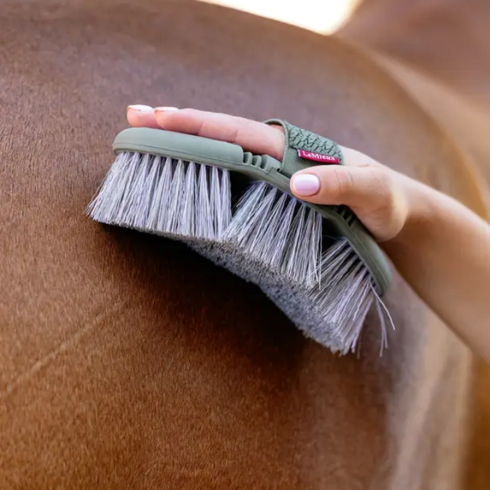 Person using a green horse brush on a horse's coat