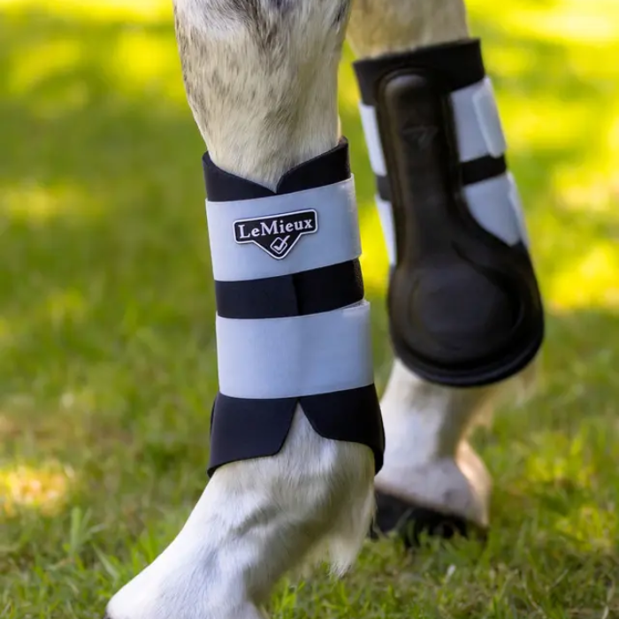 Horse leg with protective boots and on grass