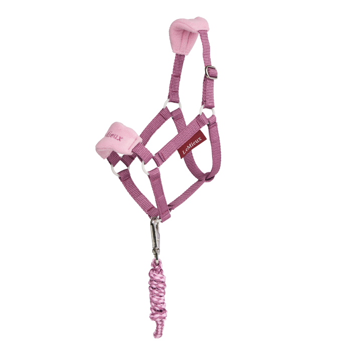 Pink headcollar with matching  leadrope set on a white background