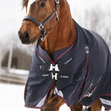 Horse walks in the snow wearing a navy turnout rug