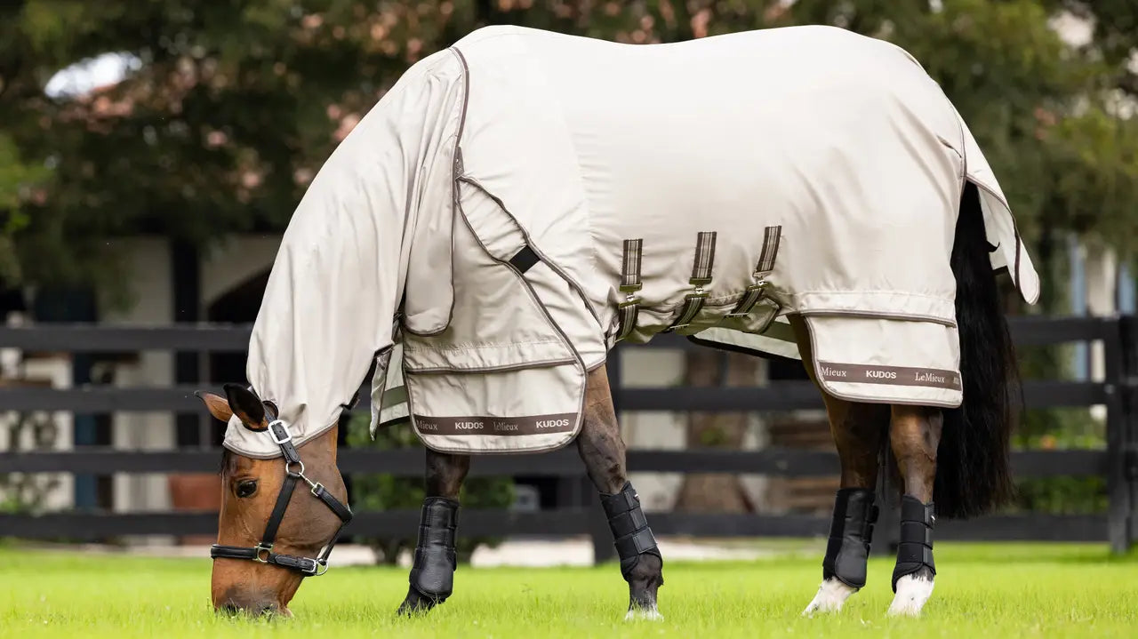 LeMieux Kudos Sweet Itch rug
