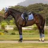Horse wearing a dark saddle and blue accessories standing on a path outdoors