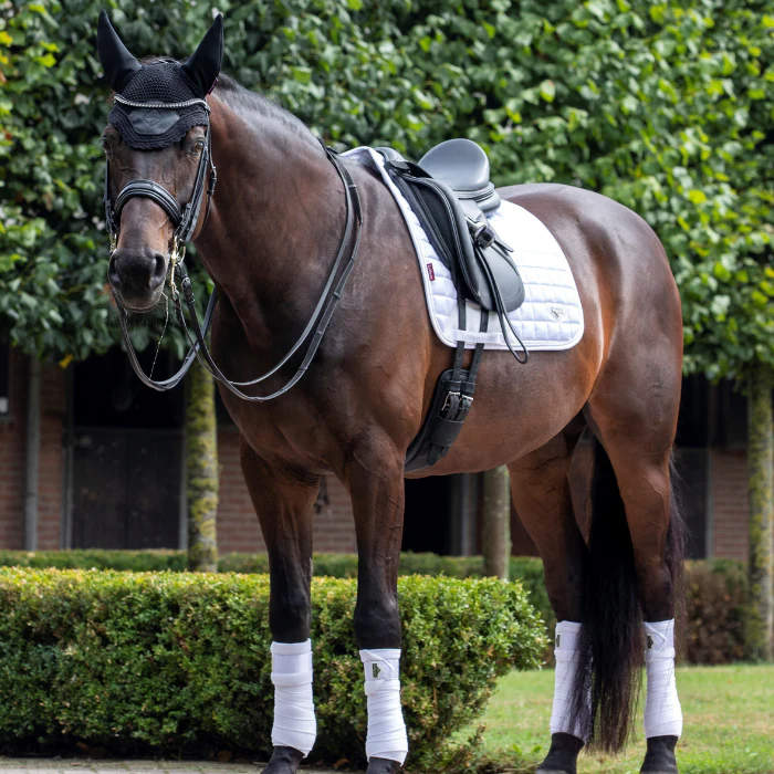 Horse wears a white saddle pad and matching leg bandages with black saddle in a garden setting