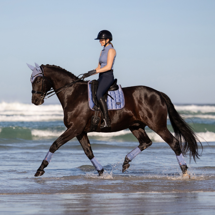 Horse ridden through shallow sea water wearing blue gloosy saddle pad and accessories 