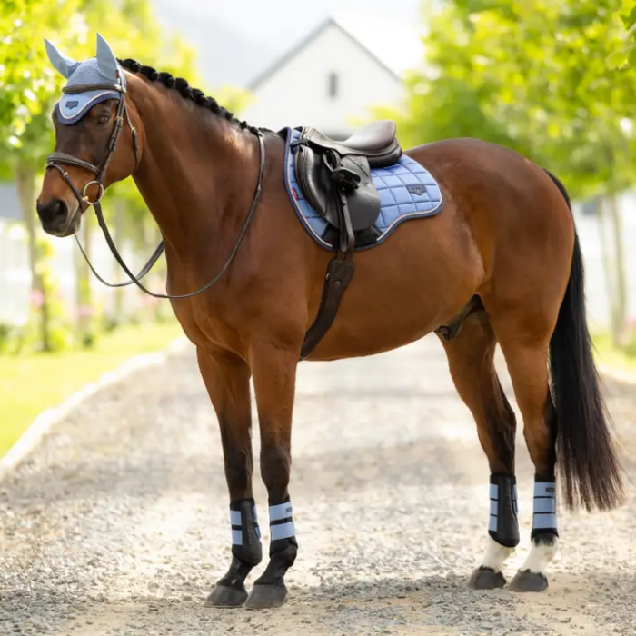 Brown horse with a saddle and bridle standing on a gravel path with trees in the background