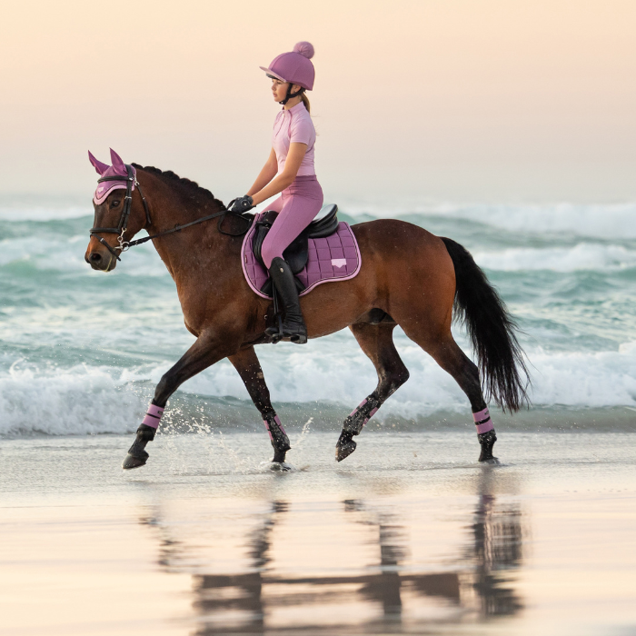 Horse ridden on the beach in shallow water wearing pink accessories
