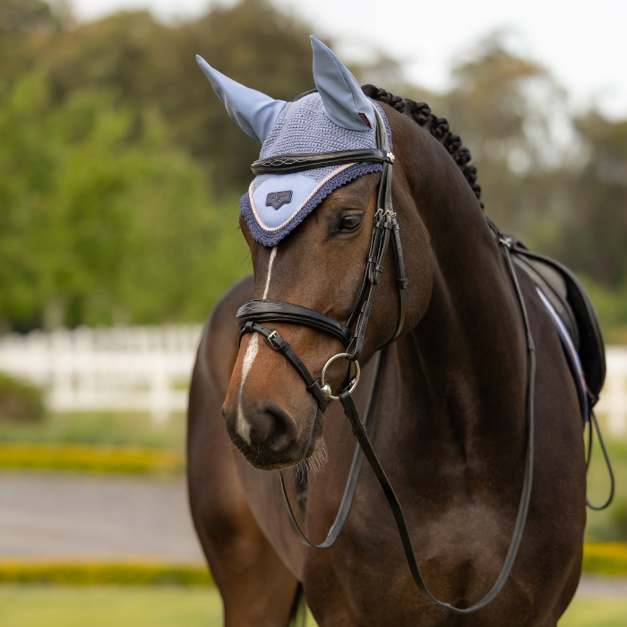 Dark horse wears a pale blue fly hood on a blurred outdoor background