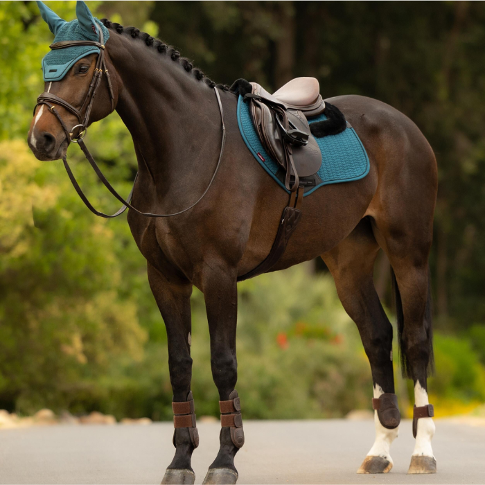 Horse with a blue bridle and saddle pad standing on a path with greenery in the background