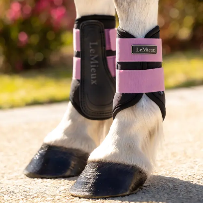 Horses legs with black and pink boots in faded back ground