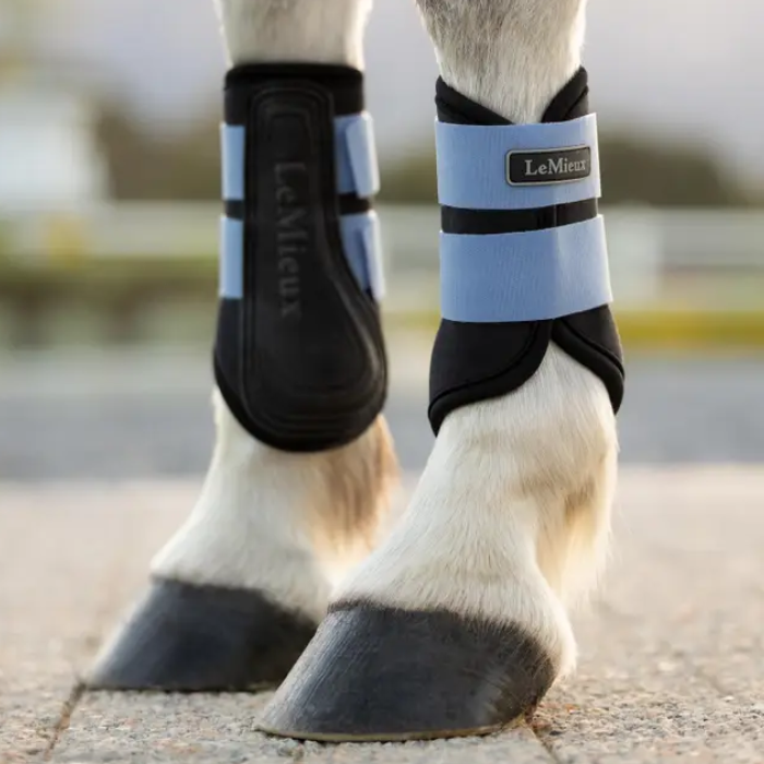 Horses legs with black and blue boots in faded back ground