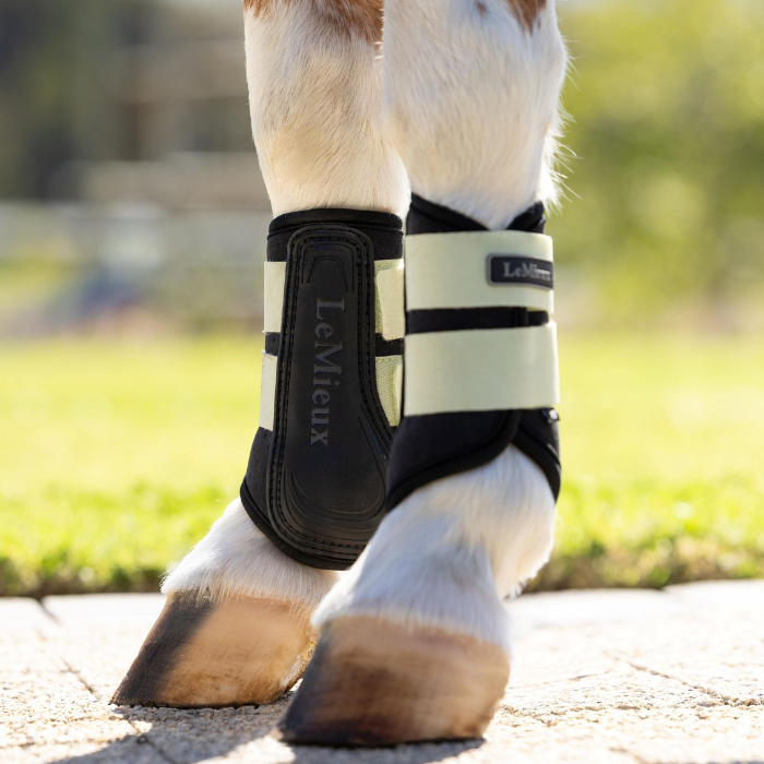 Horses legs with black and green boots in faded back ground