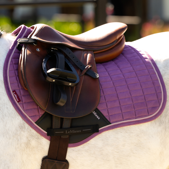 LeMieux Mini Suede Close Contact Saddle Pad - Spring 2026-Numnahs & Saddle Pads-Eland Lodge