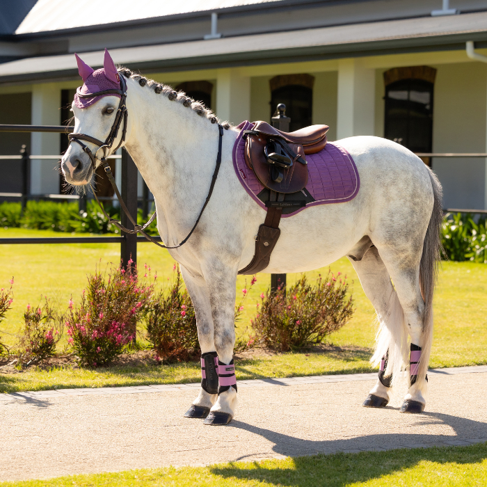 LeMieux Mini Suede Close Contact Saddle Pad - Spring 2026-Numnahs & Saddle Pads-Eland Lodge