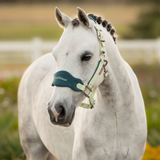 Small pony wears a yellow and teal headcollar with LeMieux branding in an outdoor setting