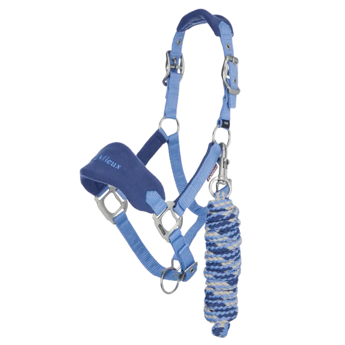 Blue horse headcollar with a rope on a white background