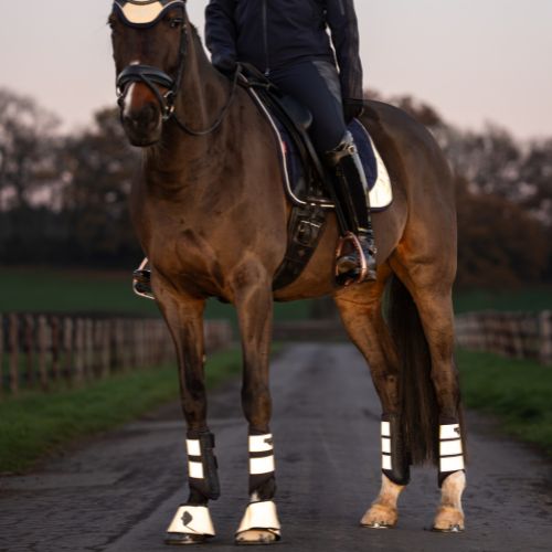 LeMieux Reflective Grafter Brushing Boots-Brushing Boots-Eland Lodge