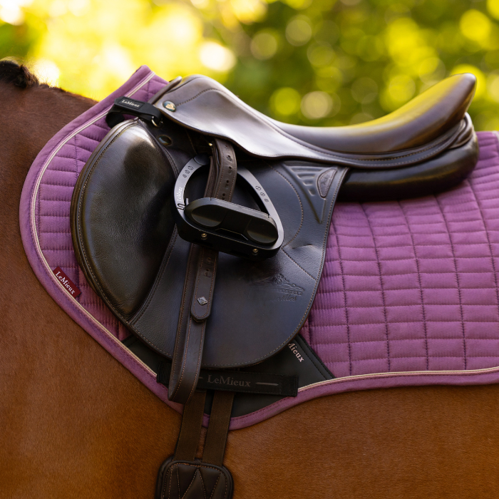 Saddle on a horse with a pink saddle pad in an outdoor setting