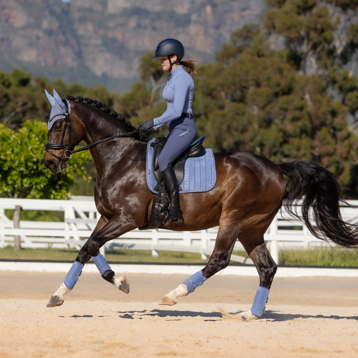 Person riding a bay horse on a sand surface with trees and mountains in the background