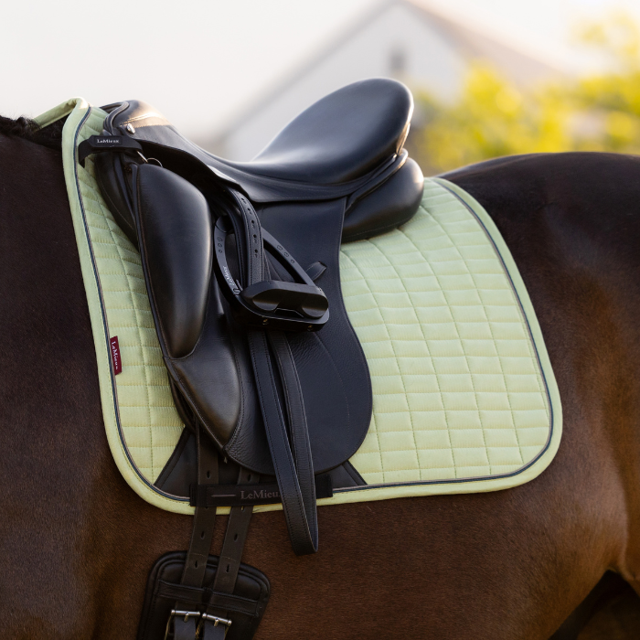 Saddle on a horse with a yellow saddle pad in an outdoor setting