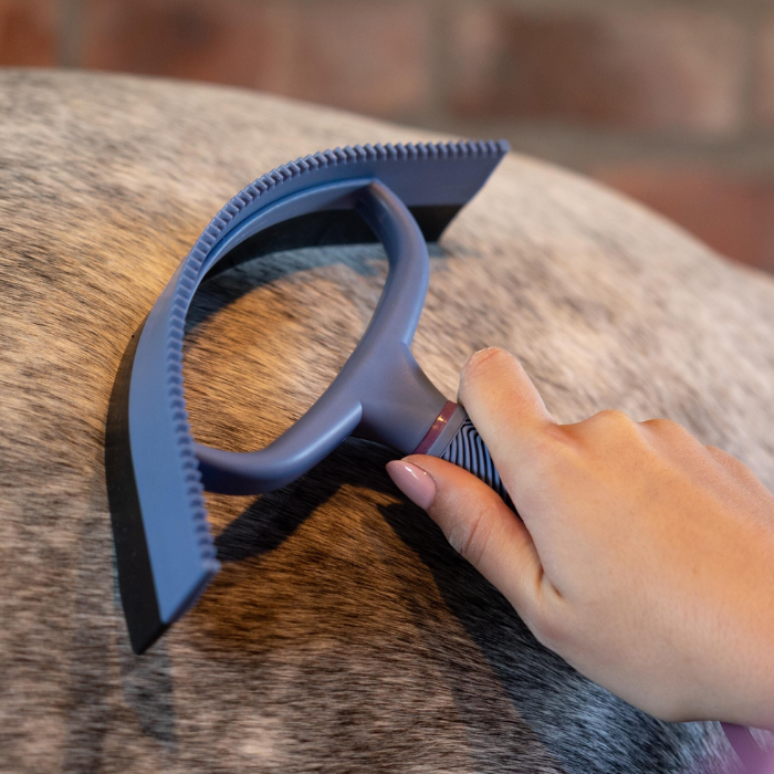 hand holding blue scraper on horses body