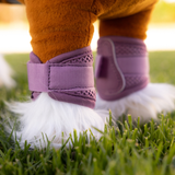 Toy horse wears a pair of pink horse boots on a grassy background