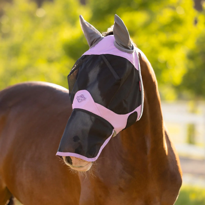 Horse wears a pink fly face covering in a blurred outdoor setting