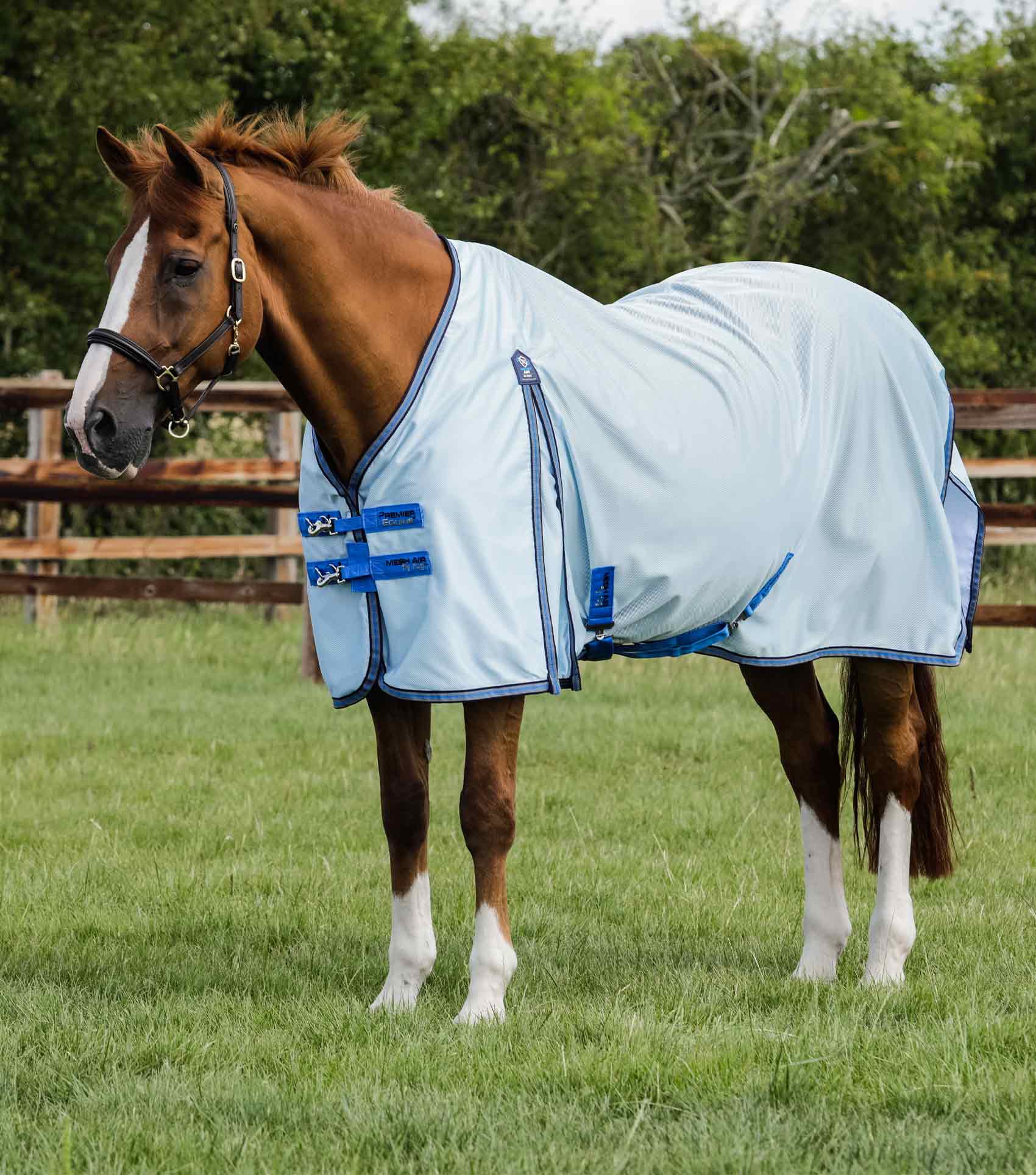 Premier Equine Mesh Air Fly Rug – Eland Lodge