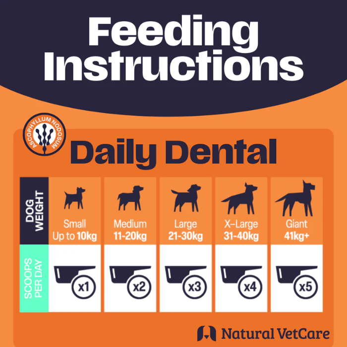 Feeding instructions for Daily Dental dog chews with weight guidelines and scoop counts on an orange and navy background.
