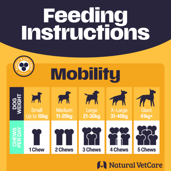 Feeding instructions on yellow and black background