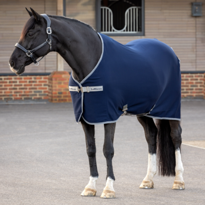 Horse Wears Lemieux Arika Jersey Tek Rug in Navy | Eland Lodge