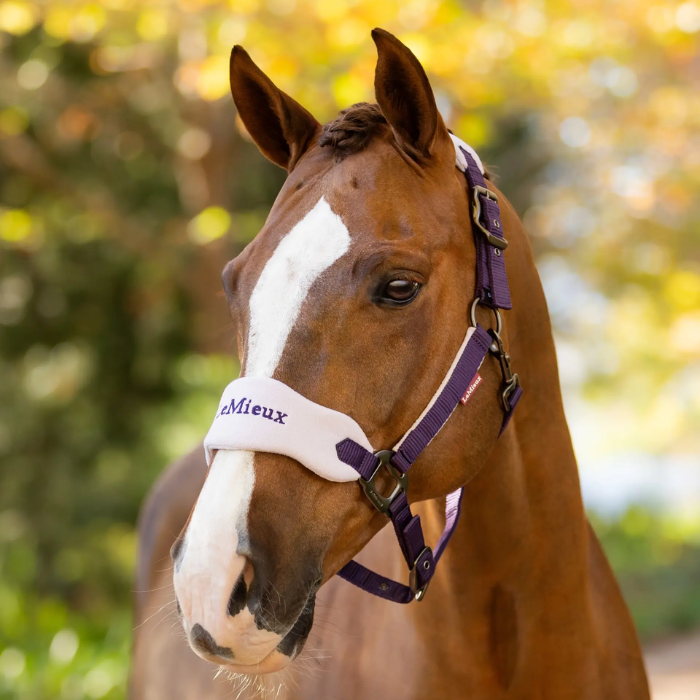 LeMieux Vogue Headcollar & Leadrope - Autumn 2025