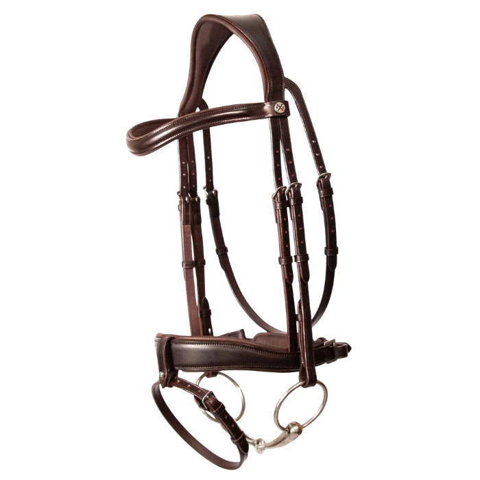 Brown leather horse bridle on a white background