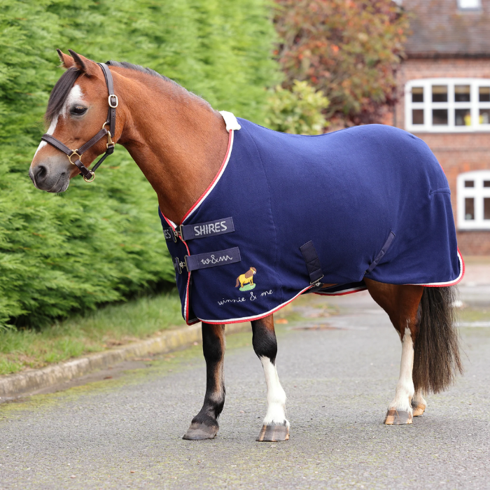 Horse wearing a blue Shires rug on a road with greenery and a building in the background
