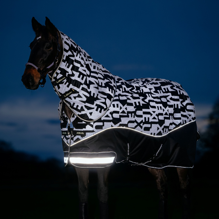 Horse wearing a black and white patterned rug with reflective strip at night.