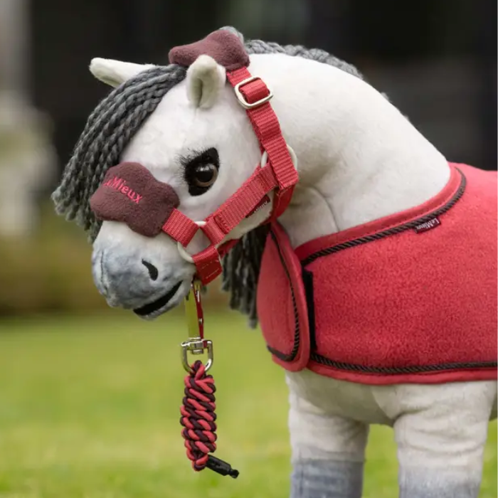 Plush toy pony wear a red headcollar and matching rope in outdoor setting