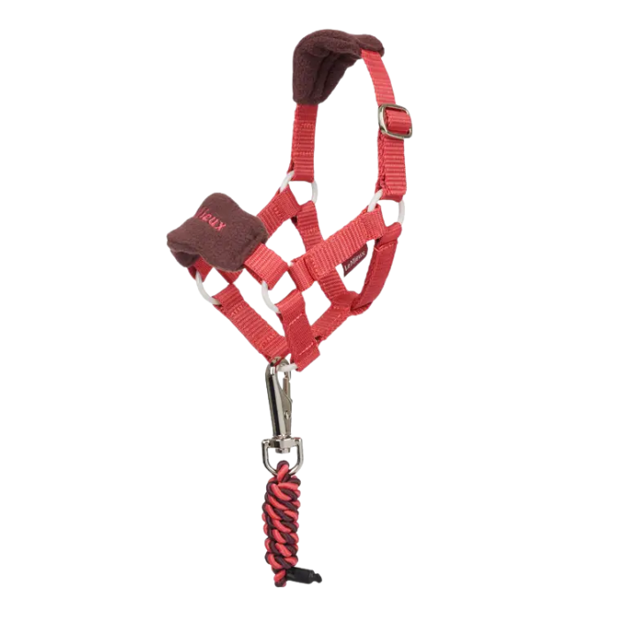 Red toy pony headcollar with brown padding and a metal clip on a white background