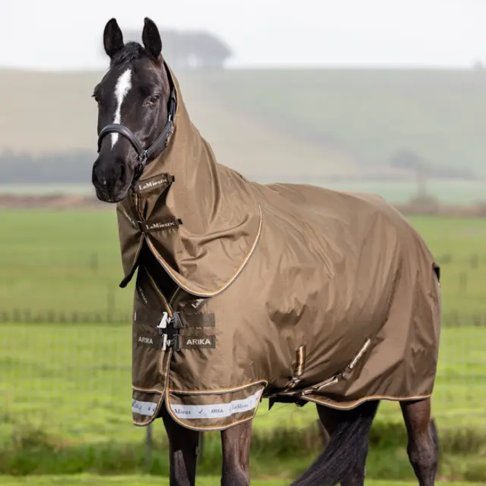 horse wears a brown rug in a field with blurred background