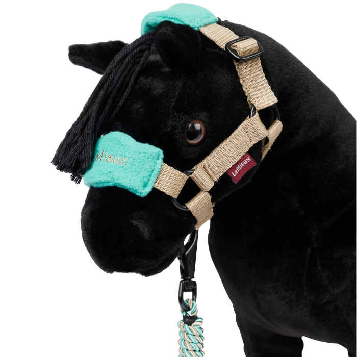 black horse wears a turquoise and beige headcollar with matching leadrope on a white background 