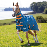 Horse wearing a blue and orange rug in a grassy field with a lake in the background