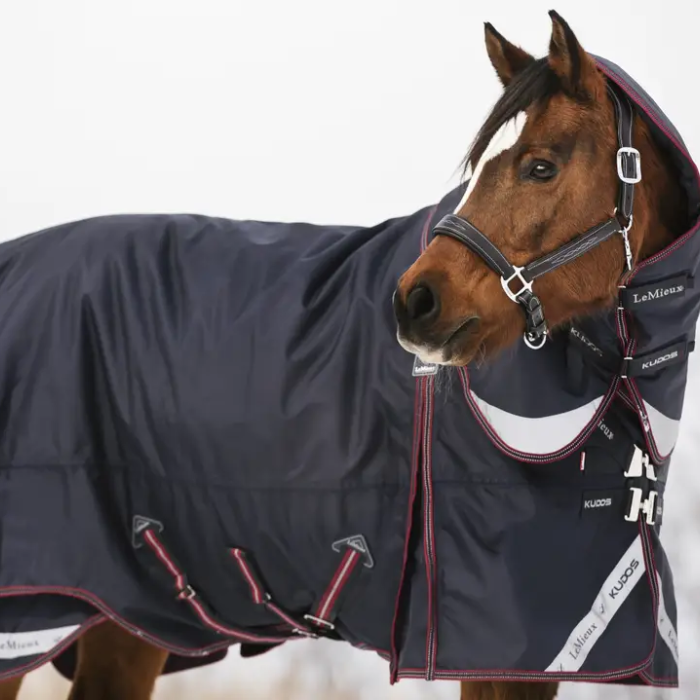 Horse stands in the snow wearing a navy turnout rug