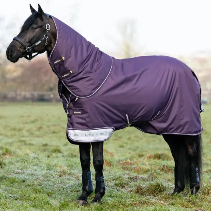 Black horse wears a purple turnout rug with neck cover in a field