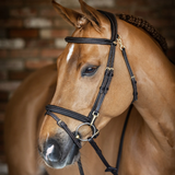 Brown horse wearing a bridle with a brick wall background