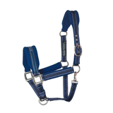 Blue horse halter with metal hardware on a white background