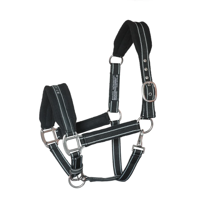 Black horse halter with metal hardware on a white background