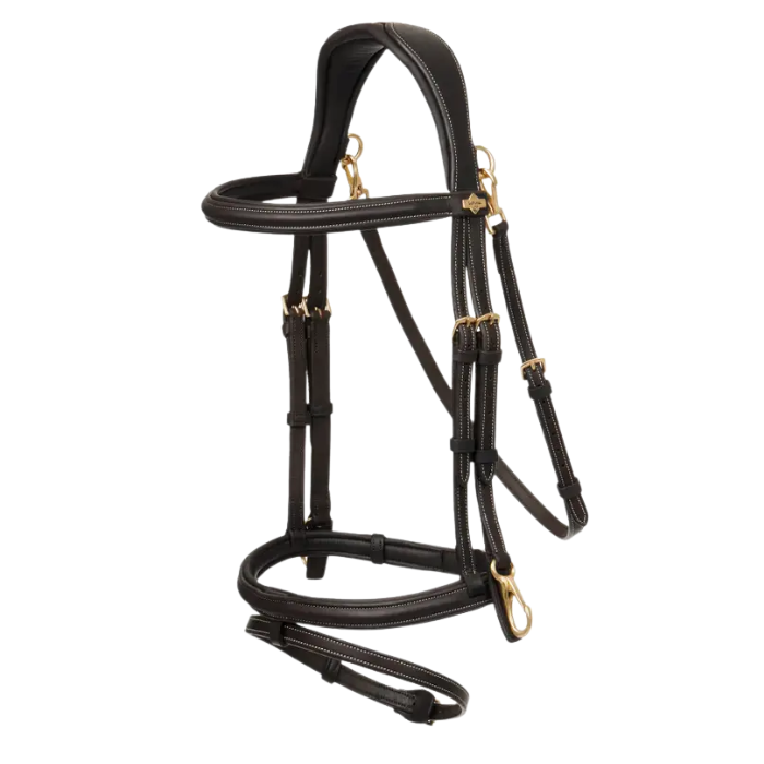 Brown horse bridle with gold hardware on a white background